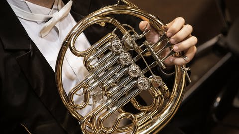 Kammerkonzert Horn (Foto: Colourbox, colourbox)