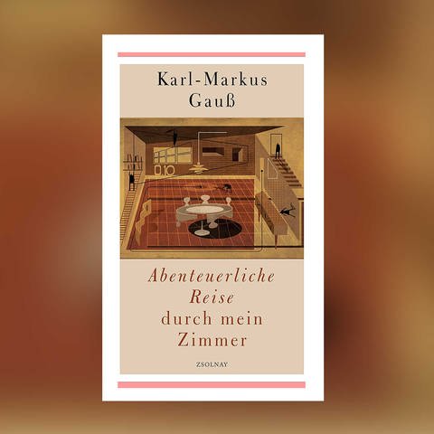 Buchcover: Karl-Markus Gauß: Abenteuerliche Reise durch mein Zimmer (Foto: Pressestelle, Hanser Verlag)