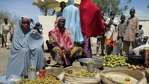 Niger - Früchte der Bäume verkaufen die Frauen auf dem Markt (Foto: SWR, SWR - Foto: Thomas Kruchem)