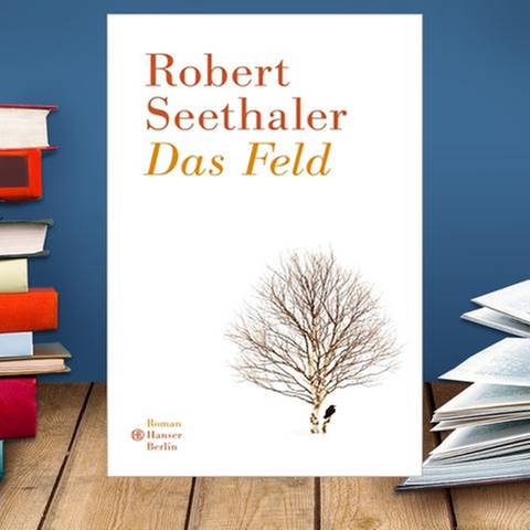 Buchcover: Robert Seethaler: Das Feld (Foto: www.hanser-literaturverlage.de -)