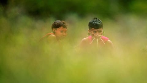 Die Yanomami leben in Wäldern (Foto: imago images, imago images / Agencia EFE)