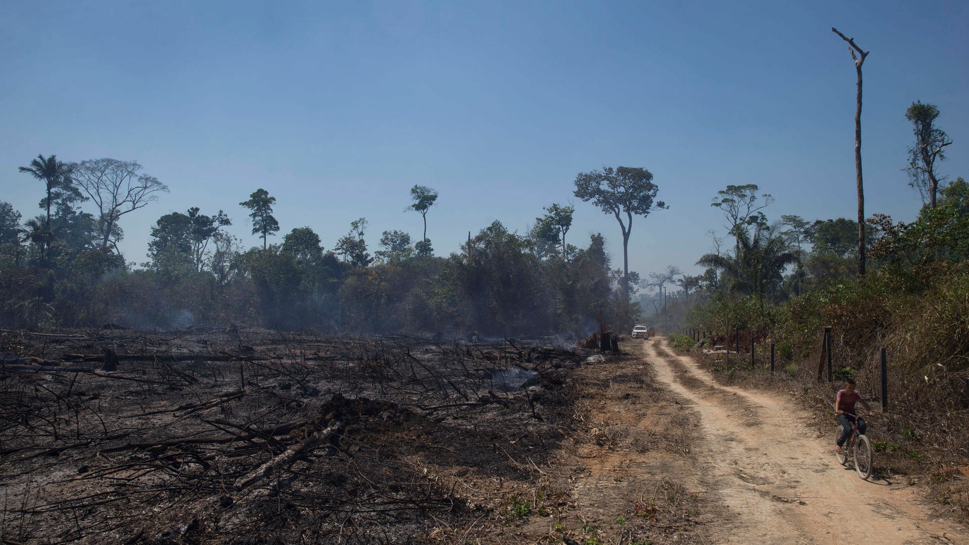 Ist Der Amazonas Urwald Noch Zu Retten Swr2