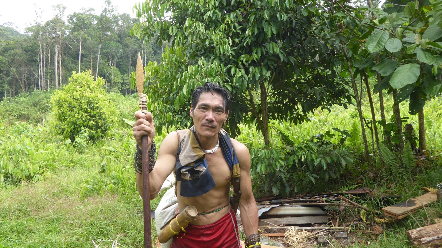 Hidup dari hutan hujan?  Pengembara di Indonesia – Budaya SWR