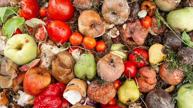 Weggeworfene Lebensmittel: Viel zu viele Nahrungsmittel landen noch immer im Müll (Foto: IMAGO, IMAGO / CHROMORANGE)