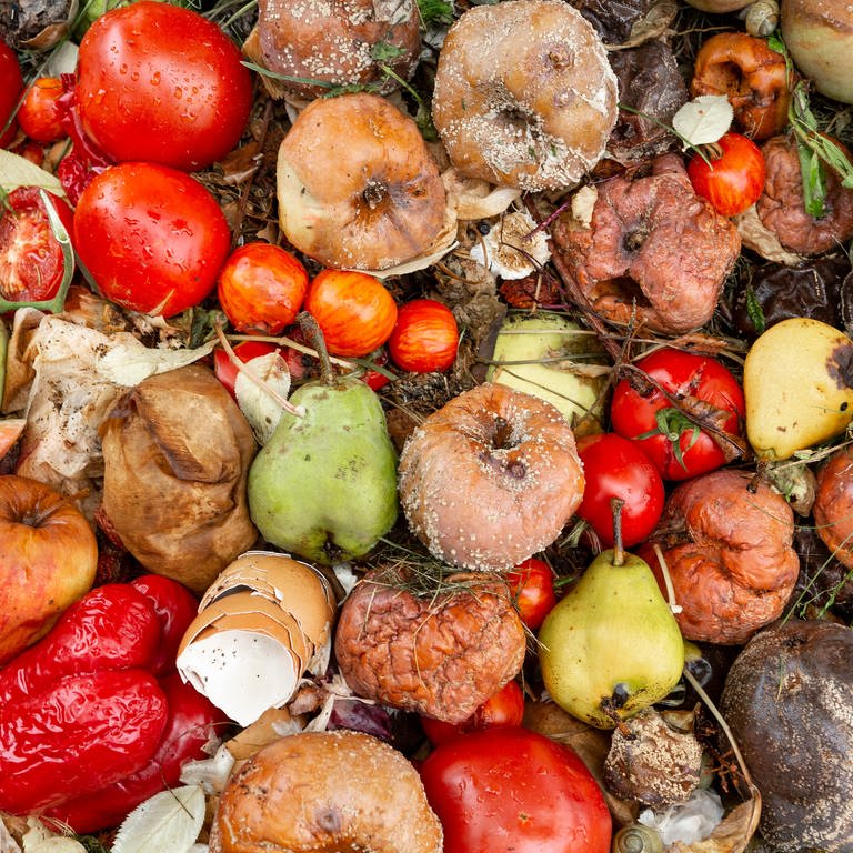 Weggeworfene Lebensmittel: Viel zu viele Nahrungsmittel landen noch immer im Müll (Foto: IMAGO, IMAGO / CHROMORANGE)