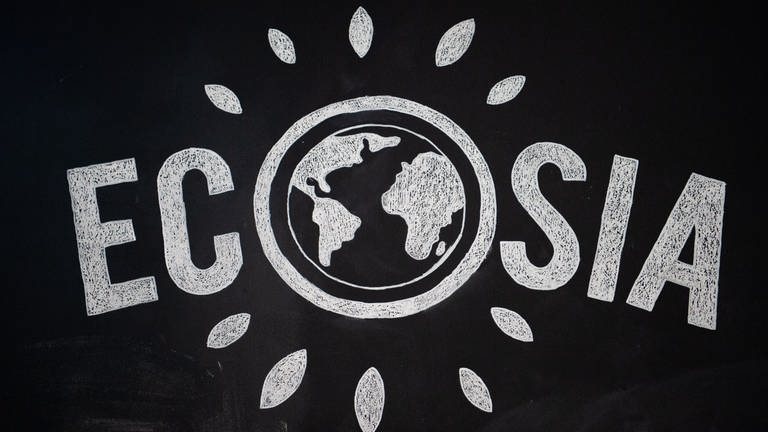 Logo der Suchmaschine Ecosia (Foto: picture-alliance / Reportdienste, picture alliance/dpa | Arne Immanuel Bänsch)