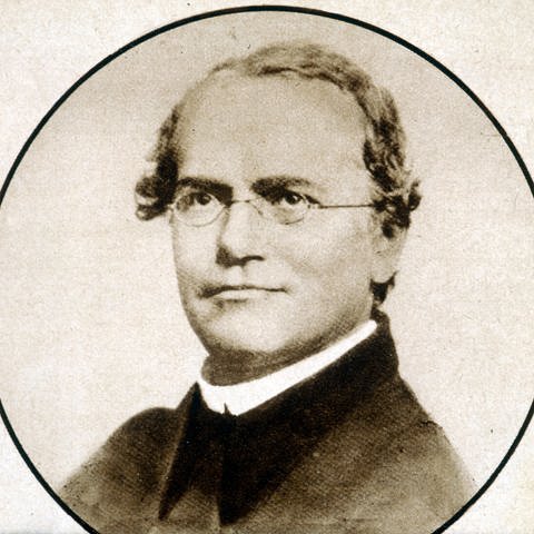 Gregor Mendel (1822 - 1884) (Foto: imago images, IMAGO / KHARBINE-TAPABOR)