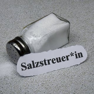 Salzstreuer mit Gendersternchen (Foto: imago images, imago images/Steinach)