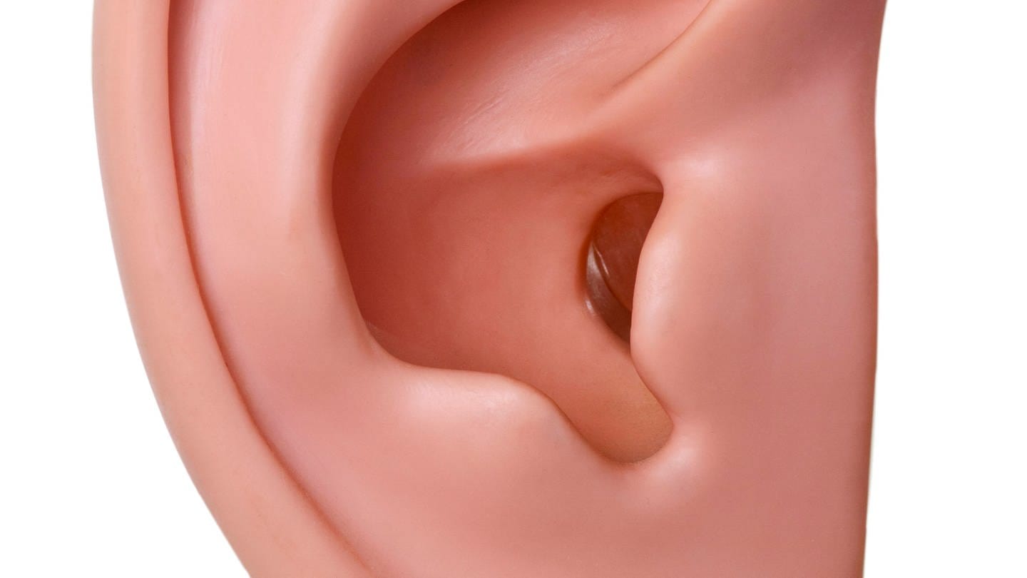 Ohrmuschel: Die Ohren nicht mit Wattestäbchen reinigen, denn dabei passiert es oft, dass man das Ohrenschmal nach hinten schiebt. Es ist besser, Ohrenschmalz bei Bedarf durch Fachleute entfernen zu lassen. Es kann sonst zu Verletzungen des Gehörgangs oder des Trommelfells kommen.