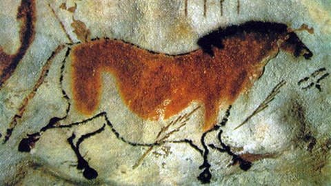 Vor rund 60.000 Jahren tauchten die ersten Höhlenmalereien auf. Faszinierend ist das berühmte Pferd aus der Höhle von Lascaux im heutigen Frankreich. (Foto: IMAGO, IMAGO / UIG)