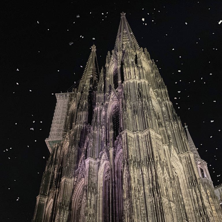 Motten umfliegen nachts den angestrahlten Kölner Dom. Die Lichtverschmutzung nimmt zu und irritiert auch Mäuse, Fledermäuse und Vögel. (Foto: IMAGO, imago images / Action Pictures)
