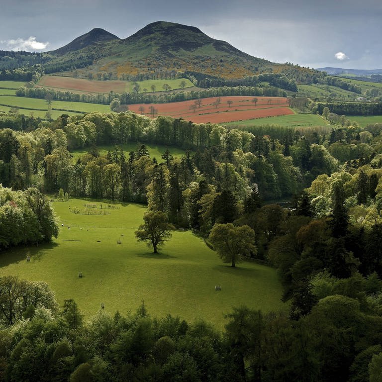 Blick über das Tal des Flusses Tweed  Schottland (Foto: IMAGO, imago/blickwinkel)