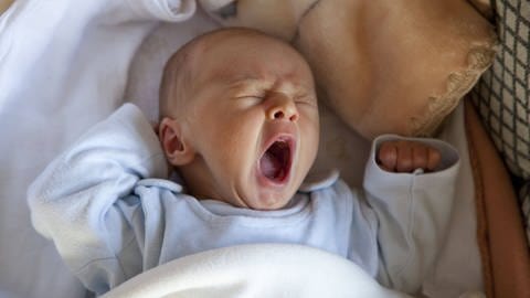 Gähnendes Baby (Foto: picture-alliance / Reportdienste, picture alliance / blickwinkel)