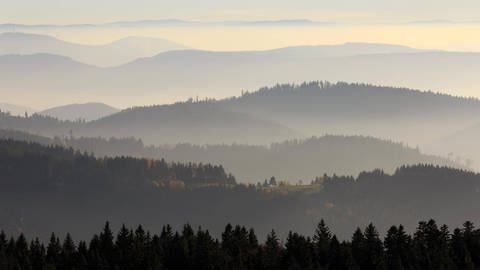 Schwarzwaldpanorama an der Schwarzwaldhochstraße beim Schliffkopf (Foto: IMAGO, imageBROKER/RonaldxWittek)
