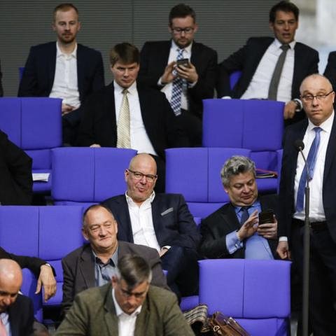 Mitglieder der AFD im deutschen Bundestag, April 2018 (Foto: picture-alliance / dpa, picture-alliance / dpa - AP Photo/Markus Schreiber)