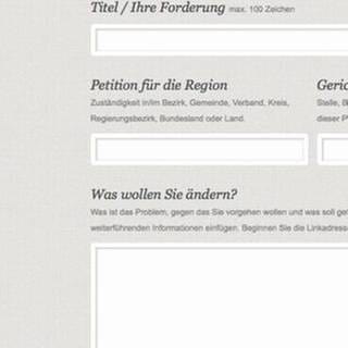 Screenshoot der Seite "openPetition", auf der man eigene Petitionen starten kann. (Foto: SWR, SWR -)