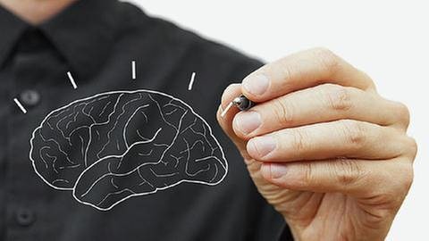 Ein Mann zeichnet auf eine Glasscheibe die groben Umrisse eines menschlichen Gehirns. (Foto: Getty Images, Thinkstock -)