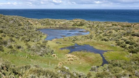 Küste der Magellanstraße zwischen Porvinier und Punta Arenas, Patagonien  Chile (Foto: IMAGO, IMAGO / imagebroker)