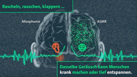 Misophonie und ASMR: Dasselbe Geräusch kann Menschen krank machen oder tief entspannen (Foto: Britta Wagner)