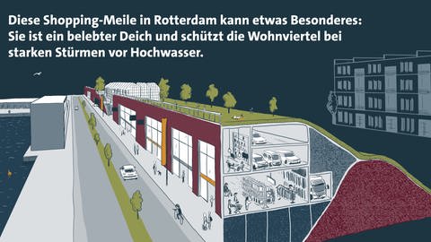 Diese Shopping-Meile in Rotterdam kann etwas Besonderes: Sie ist ein belebter Deich und schützt die Wohnviertel bei starken Stürmen vor Hochwasser (Grafik) (Foto: SWR, Brittag Wagner)