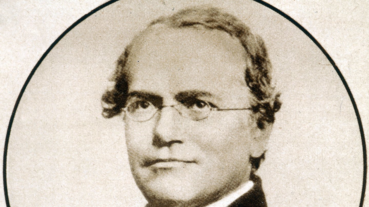 Gregor Mendel (1822 - 1884) (Foto: IMAGO, IMAGO / KHARBINE-TAPABOR)