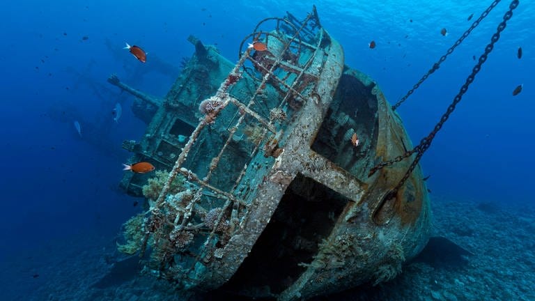 Verrottetes Schiffswrack auf dem Grund des Roten Meeres, rote Fische schwimmen drum herum (Foto: IMAGO, IMAGO / imagebroker)