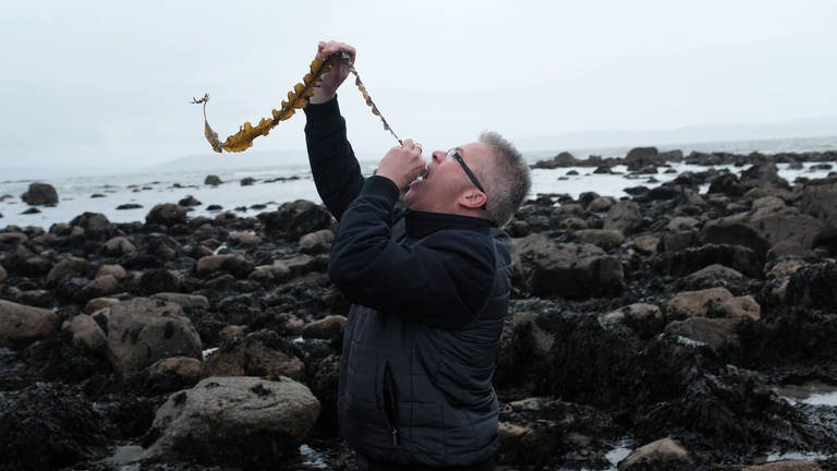 Der Meeresbiologe Stefan Kraan nimmt direkt eine Kostprobe. Aber lieber erstmal waschen, empfiehlt der Experte. (Foto: SWR, Max Rauner)
