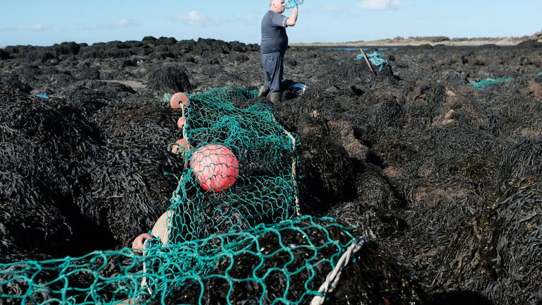 Der irische Algenfischer Jimmy Curtain macht sich an die Ernte. Es ist eine mühsame Arbeit. Für eine Tagesausbeute, etwa 2 Tonnen Algen, erhält Curtain zwischen 300 und 400 Euro. (Foto: SWR, Max Rauner)