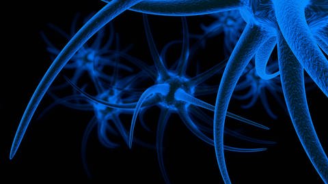 Modell einer Nervenzelle (Foto: IMAGO, mago images/Imaginechina-Tuchong)