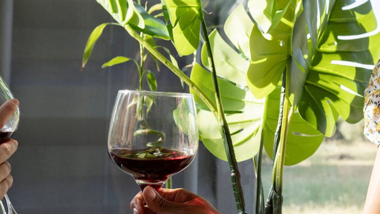 Eine Frau hat ein Glas Wein in der Hand (Foto: IMAGO, IMAGO / Westend61)