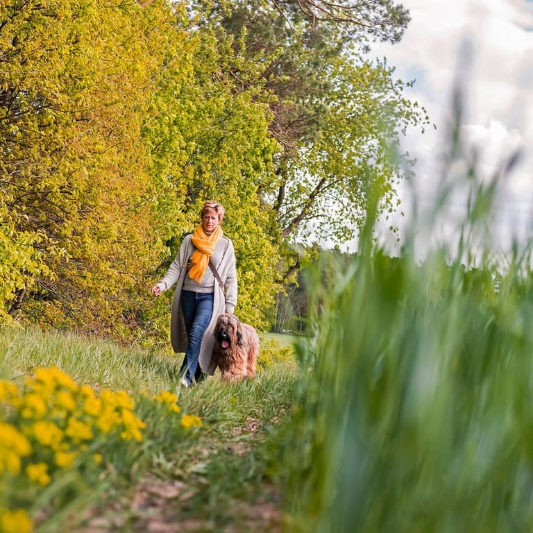 Eine Frau geht mit ihrem Hund spazieren auf einer Wiese am Waldrand spazieren: In fast jedem zweiten Haushalt in Deutschland wohnt eine Person allein. Manche sind bewusst Single, für andere ist es ein Zustand auf Zeit. Vor allem Singlefrauen verspüren den Druck, sich zu binden.  (Foto: IMAGO, IMAGO / Westend61)