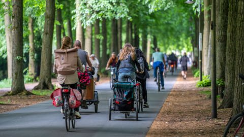 Radweg in Münster mit viel Verkehr unter grünen Bäumen: Effizienz gewinnt der Verkehr vor allem, wenn er abnimmt und möglichst viele das Fahrrad oder den Bus nutzen (Foto: IMAGO, IMAGO / Jochen Tack)