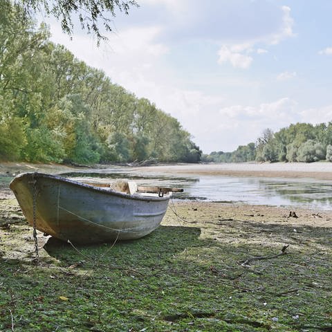 Ein Angelkahn liegt am Rhein auf dem Trockenen: Kann der Rhein mit einer neugestalteten Flusslandschaft den Klimawandel überleben? (Foto: picture-alliance / Reportdienste, picture alliance / Daniel Kubirski | Daniel Kubirski)