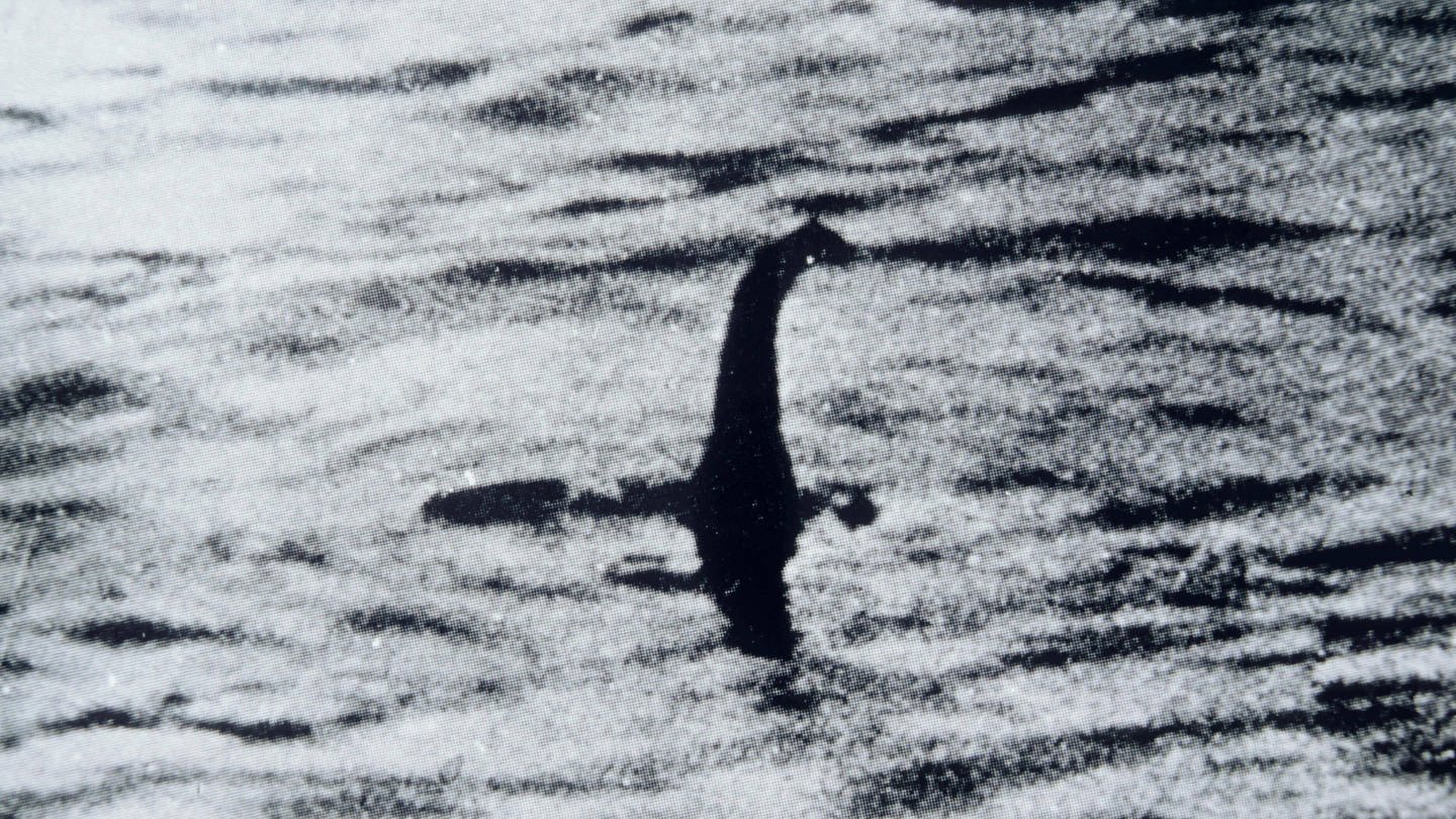 Ein Foto, das angeblich das Monster von Loch Ness zeigt. (Foto: IMAGO, imagebroker)