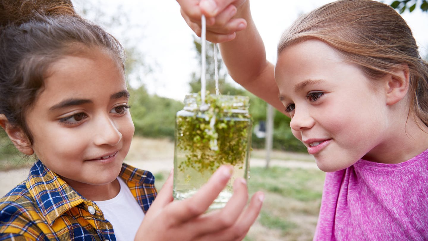 Zwei Mädchen betrachten Wasserlinsen in einem Glas: Wie lernen Kinder und Jugendliche ökologisch zu handeln? Kitas und Schulen sollen ein Klima der Veränderung pflegen. (Foto: IMAGO, IMAGO / Shotshop)