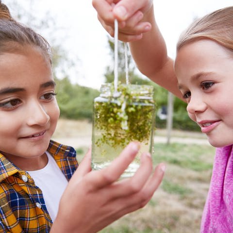 Zwei Mädchen betrachten Wasserlinsen in einem Glas: Wie lernen Kinder und Jugendliche ökologisch zu handeln? Kitas und Schulen sollen ein Klima der Veränderung pflegen.  (Foto: IMAGO, IMAGO / Shotshop)