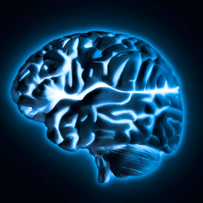 menschliches Gehirn (Foto: picture-alliance / Reportdienste, picture alliance / Bildagentur-online/Tetra | -)