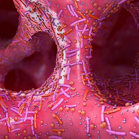 3D-Darstellung: Mikrobiota des menschlichen Verdauungssystems (Foto: IMAGO, IMAGO / Science Photo Library)