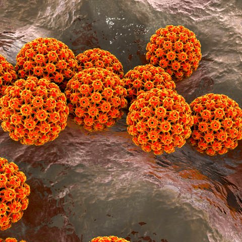Grafische Darstellung: HPV-Virus (Foto: IMAGO, IMAGO / Science Photo Library)