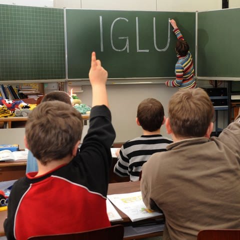 IGLU-Studie (Internationale Grundschul-Lese-Untersuchung) (Foto: picture-alliance / Reportdienste, picture-alliance/ dpa | Marcus Führer)