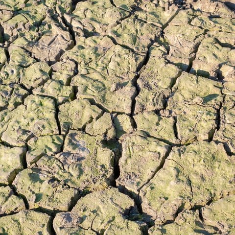 Trockenes Flussbett, leeres trockenes Flussbett mit rissigem Boden (Foto: IMAGO, IMAGO / imagebroker)