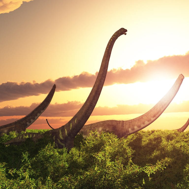 Computergenerierte 3D Illustration mit dem Dinosaurier Mamenchisaurus in einer Landschaft bei Sonnenuntergang (Foto: picture-alliance / Reportdienste, picture alliance / Zoonar | Michael Rosskothen)