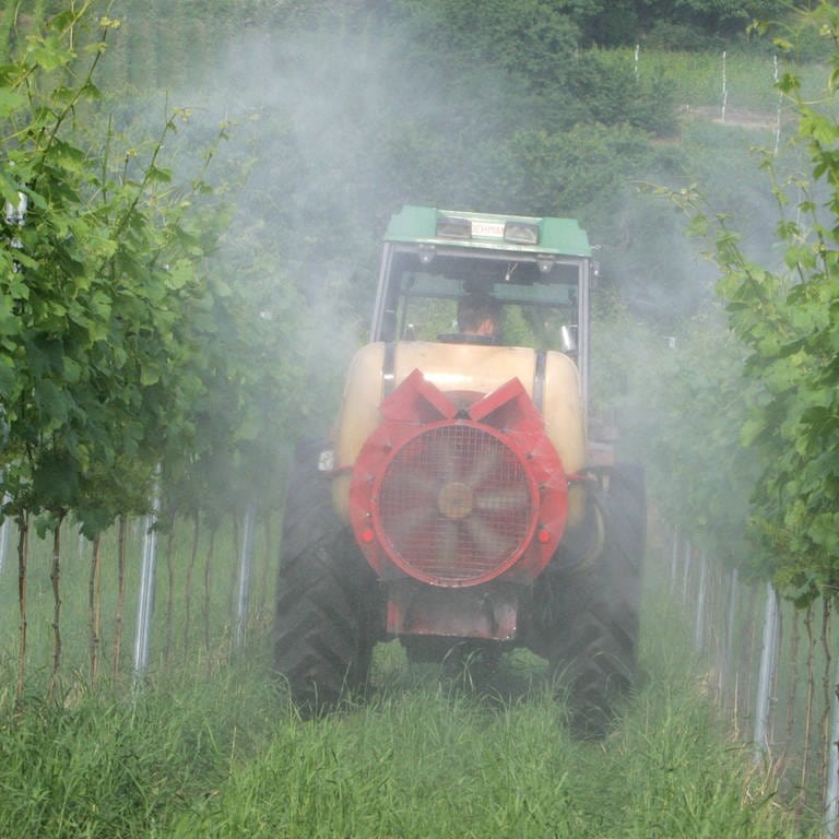 Weinbauer spritzt seine Rebstöcke (Foto: IMAGO, IMAGO / imagebroker)