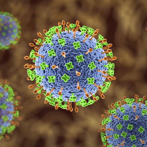Grafische Darstellung des Nipah-Virus (Foto: IMAGO, IMAGO / agefotostock)
