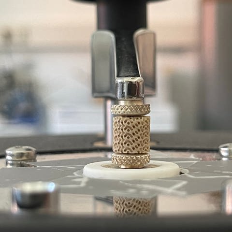 Neuartige Knochen-Implantate aus dem 3D-Drucker (Foto: Universität Rostock)