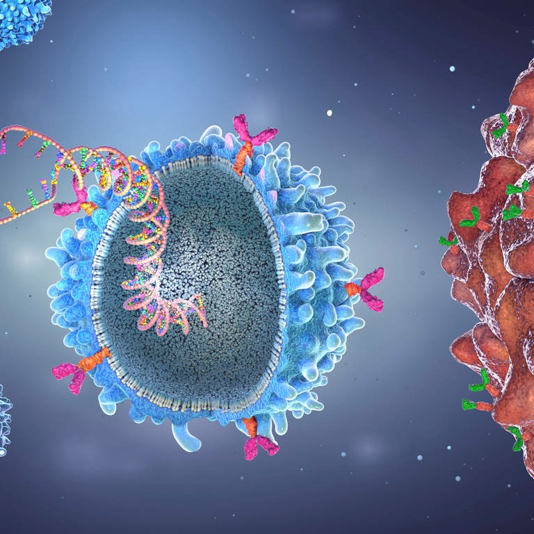 CAR-T-Zelle mit implantiertem Genstamm (Illustration): Erfolge bei Schwarzem Hautkrebs, Leukämie und Tumoren in Lunge, Brust und Niere erzielt die Immuntherapie. Statt die Krebszellen direkt anzugreifen wie Chemo- und Strahlentherapie, unterstützt die Immuntherapie die körpereigenen Abwehrkräfte, um gegen die Krebszellen anzugehen. Oder sie verändert die Immunzellen des Patienten so, dass sie die Krebszellen angreifen. (Foto: IMAGO, IMAGO / Science Photo Library)