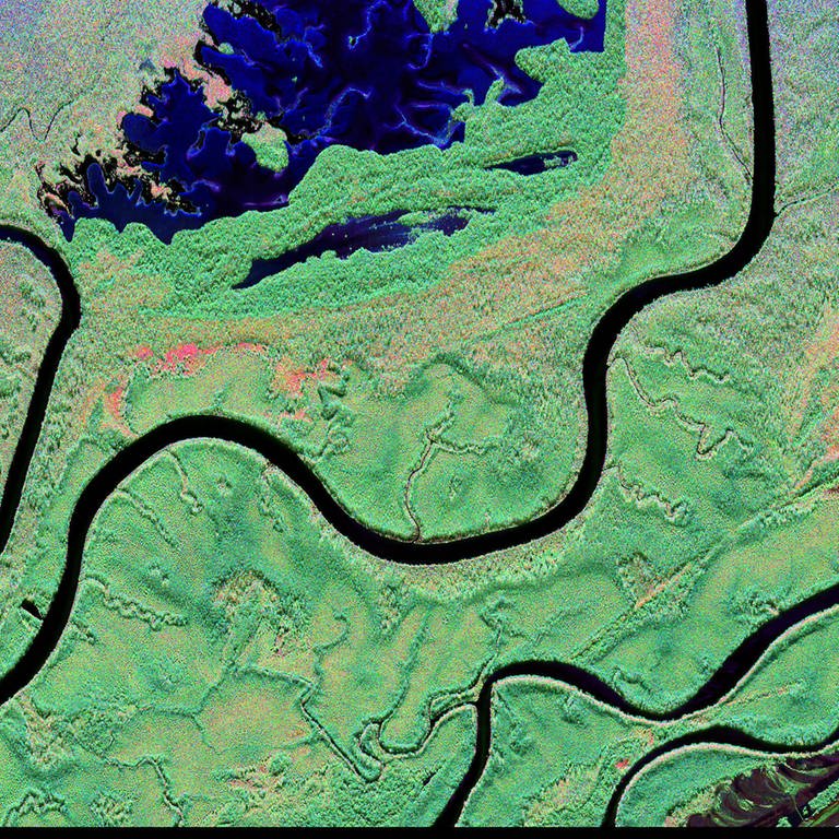 Radar-Satellitenbild des Regenwaldes, aufgenommen vom DLR-Forschungsflugzeug, welches Daten sammelt um die Waldbiomasse zu ermitteln.  (Foto: picture-alliance / Reportdienste, picture alliance/dpa/DLR | DLR)
