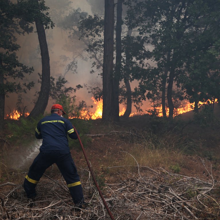 Ein Feuerwehrmann versucht am 01. September 2023, einen Waldbrand in der Region Maritsa, Griechenland, zu löschen.  (Foto: picture-alliance / Reportdienste, picture alliance / AA | Ayhan Mehmet)