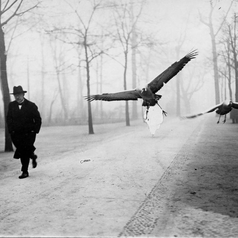 Oskar Heinroth wird bei einem Rundgang im Zoologischen Garten Berlin von zwei zahmen Kranichen begleitet (um 1925) (Foto: picture-alliance / Reportdienste, picture-alliance / akg-images)