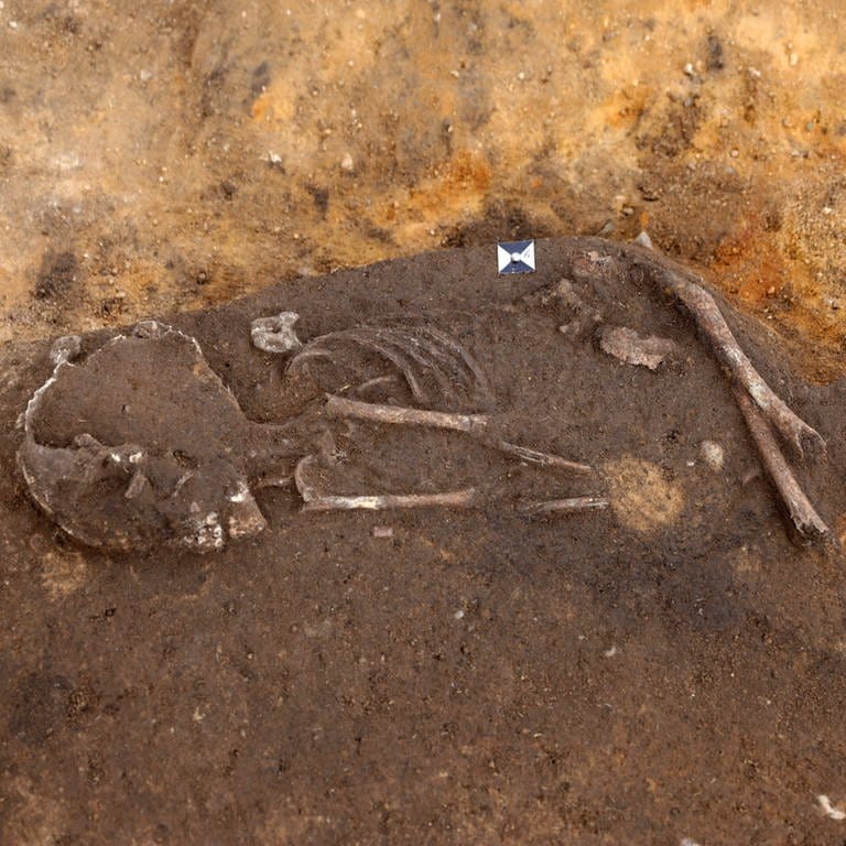 Skelett liegt ausgegraben in der Erde (Foto: IMAGO, IMAGO / Steffen)